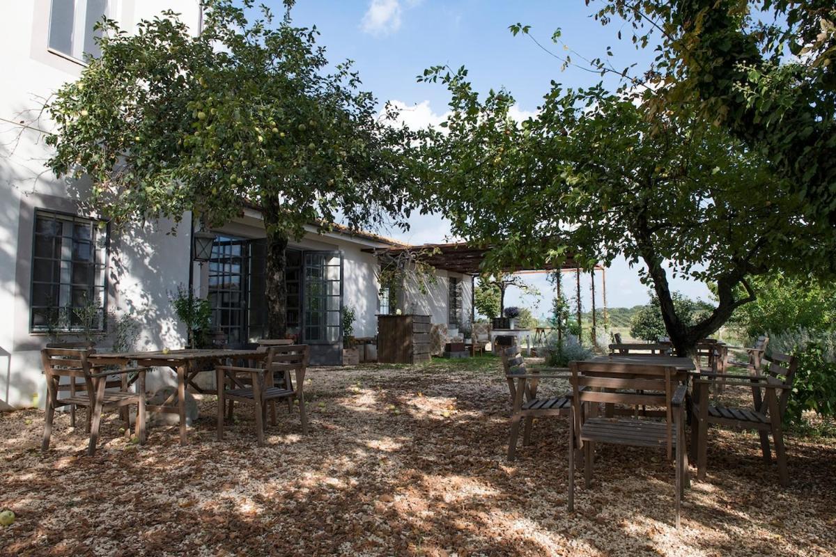 Villa Vallecento Con Giardino - Borgo Stays Monterosi 外观 照片