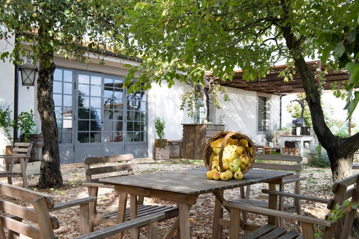 Villa Vallecento Con Giardino - Borgo Stays Monterosi 外观 照片